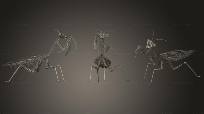 Insects (MANTIS WIREFRAME, INSCT_0020) 3D models for cnc
